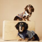 Dog Clothes Striped Polo Shirt Cute Sleeveless Vest - Image 2