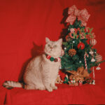 Pet Christmas Limited Ball Bib - Image 3