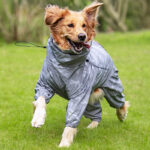 Raincoat Outdoor Waterproof Reflective Coat For Large Dogs And Pets - Image 5
