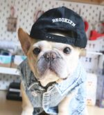 Pet Dog Washed Denim Jacket Clothes - Image 9