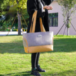 Portable Outing Pet Backpack Breathable Space Capsule - Image 4