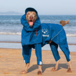 Adjustable Dog Raincoat All-inclusive Medium Large Dog Adhesive Four-leg Hooded Poncho - Image 3
