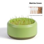 Potted Seeds Soilless Hydroponic Cat Grass - Image 5