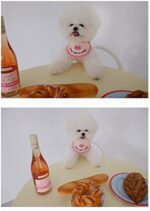 Super Soft Crocheted Cat Saliva Towel For Pets With Cute Pig Decoration - Image 5