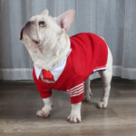 Christmas Pet Dog Clothes Autumn And Winter Sweater TeddyFrench Bulldog British Bucket Corgi Cat Sweater - Image 10