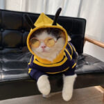 Winter Warm Clothes Cute Plush Coat Hoodies For Bulldog Pet Costume Jacket Bee Pet Puppy Coat - Image 3