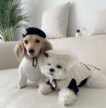 Pet Dog Cat Accessories Knitted Hat - Image 2