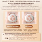 Abdominal Electric Waist And Abdomen Massager - Image 3
