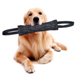 Durable Dog Bite Stick Creative Dog Tug Chew Stick For Teeth Cleaning, Ideal For Medium Breeds Stick For Interactive - Image 8