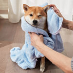 Absorbent Towel For Pet Thickening And Quick-drying - Image 4