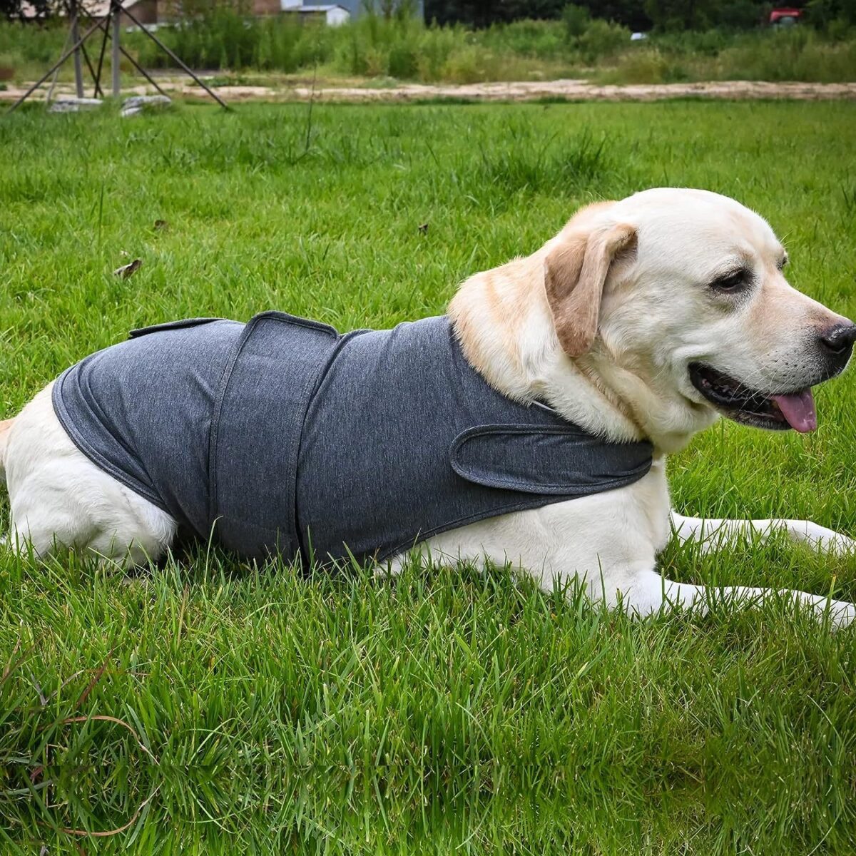 Classic Dog Anxiety Jacket Breathable Thunder Vest For Dogs Thunder Vest For Dogs Anxiety Shirt Dog Clothes For Anxiety Stress - Image 5