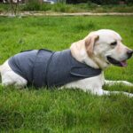 Classic Dog Anxiety Jacket Breathable Thunder Vest For Dogs Thunder Vest For Dogs Anxiety Shirt Dog Clothes For Anxiety Stress - Image 5