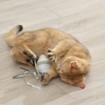 360 Rolling Mouse Cat Toy Automatic Feather Cat Tease - Image 3