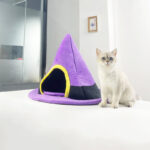 Halloween Witch Hat Cat Nest Cute Shape