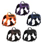 Pet Hand Holding Rope Anti Breaking Loose Dog Harness - Image 5