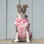 Pet Dog Washed Denim Jacket Clothes - Image 4