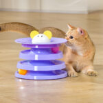 Rotating Four-layer Cat Plate, Interactive Educational Toy  Multicolor To Relieve Boredom - Image 9