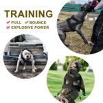 Dog Weight Pulling Harness Soft Padded Dogs Harnesses Pitbul - Image 3