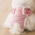Sanitary Napkin Pet Menstrual Aunt Pants - Image 6