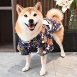 Creative Printing Cotton Pet Dog Clothes - Image 3