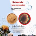 Ornamental Fish Coral Feed Micro Particles Are Easy To Absorb - Image 3