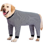 Dog Clothes Thin Four-legged Golden Retriever Labrador - Image 5