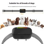 Automatic Voice Control Bark Stopper - Image 4