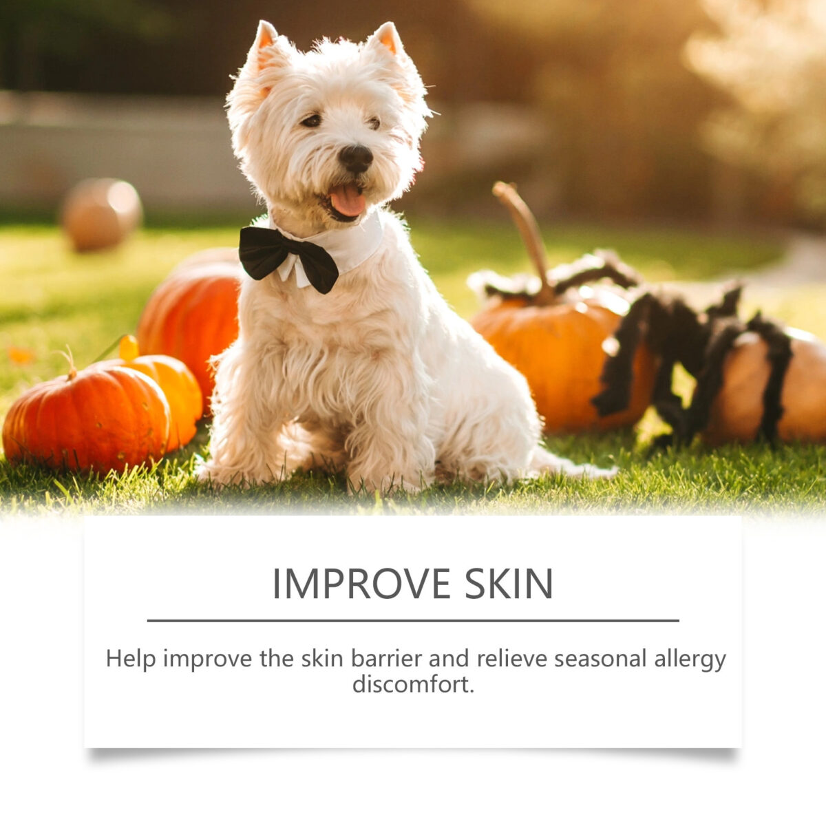 Allergy Relief Immune Chews - Image 3