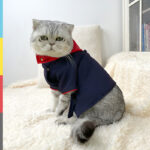 Cat And Dog Hoodie Photo Props - Image 2