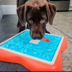 Pet Dog Hidden Food Intellectual Toy - Image 4