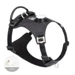 Dog Chest Harness Traction LED Outdoor Night Light - Image 4