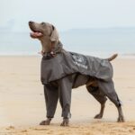 Pet Four-legged Raincoat Medium Large Dog Waterproof Poncho - Image 7