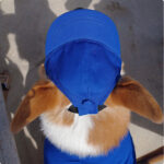 New Adjustable Sun-proof Exposed Ears Pet Hat - Image 3