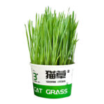 Lazy Cat Grass Canned Hydroponic Soilless Depilation Ball Digestive Snacks - Image 5