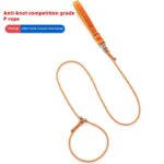 Explosion Proof Knotting Dog Leash Pet Supplies - Image 6