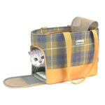 Portable Outing Pet Backpack Breathable Space Capsule - Image 2