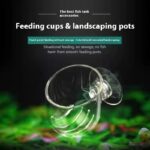 High Transparent Feeding Landscape Cup For Fish Tank - Image 3