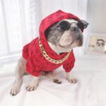 Medium And Large Dog Glasses Toy - Image 2
