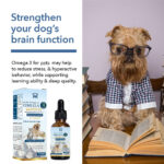 Salmon Oil Pet Care - Image 3