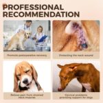 NEW Dog Support Collar Collar Anti-licking Sprained Neck Head Cover Pet Neck Support Small Medium Large Adjustable Universal - Image 3