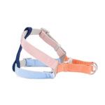 Colorful Outdoor Chest And Back Hand Holding Rope Outing Dog Leash Pet Supplies - Image 4