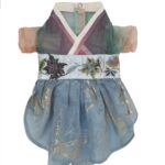 Spring Breeze Cat Hanfu Clothes Antique Hair Loss Thin Section - Image 3