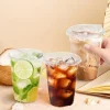 Leak Proof Disposable Cups with Lids 16 oz, 10 Pack Clear Plastic Cups for Coffee, Boba Tea & Parties, No-Spill Sip Lid, Takeout