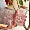 500ml Cute Bow Glass Cup Tumbler Mason Jar Shaped Water Bottle With Lids Straw Coffee Cups Party Gift for Iced Coffee Juice Cup